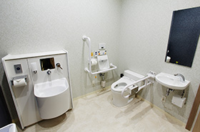 Welfare toilet